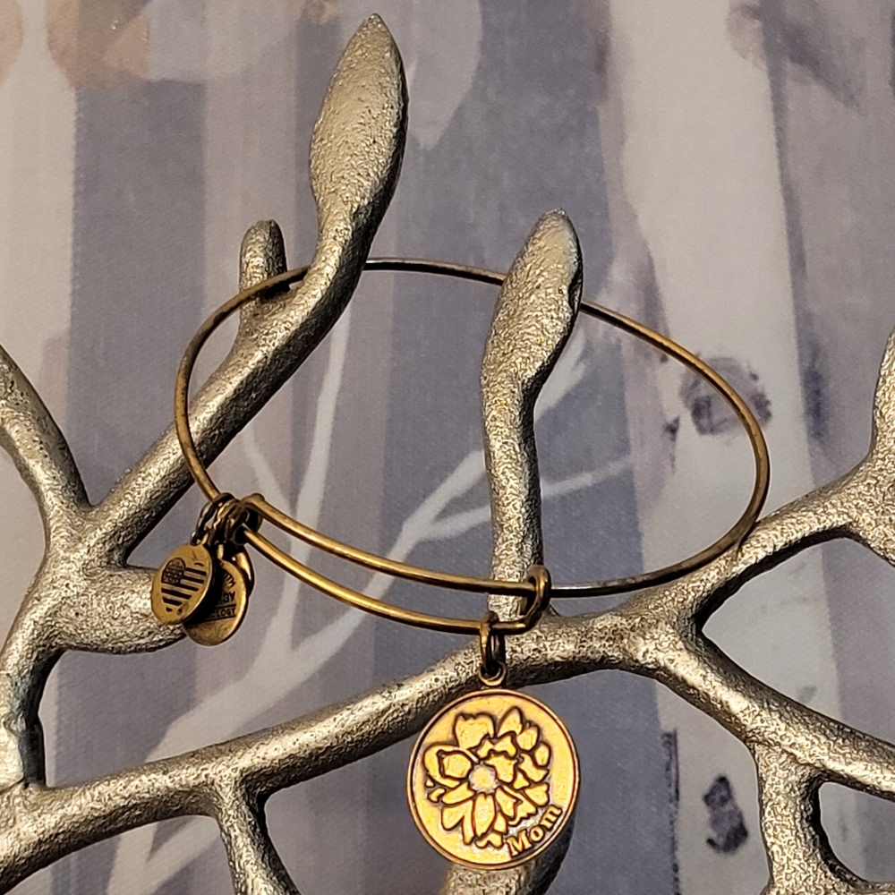 ALEX & ANI Because I Love You Mom Copper-tone Adjustable Charm Bracelet